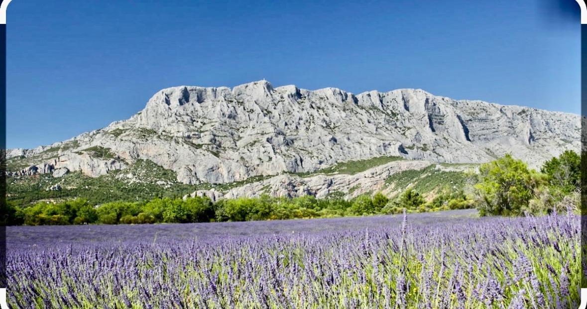 Joli Studio Le Clos D'Aix Avec Grande Terrasse Piscine Et Parking Gratuit Aix-en-Provence Eksteriør bilde